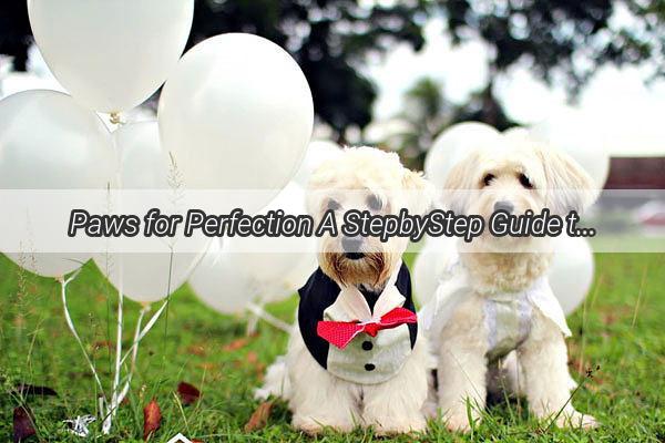 Paws for Perfection A StepbyStep Guide to Training Your Dog to Sit Like a Pro